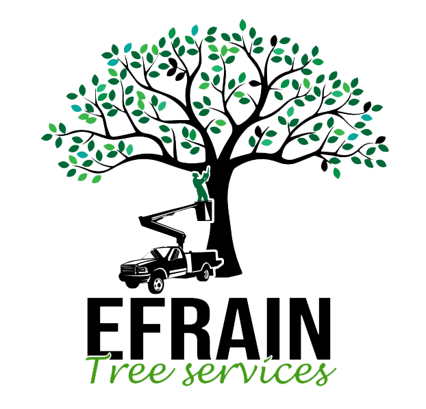 Efrain Tree Services images