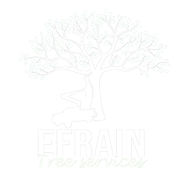 Efrain Tree Services images